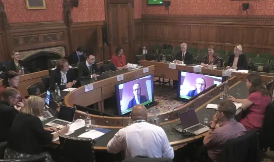 Transport Select Committee screenshot