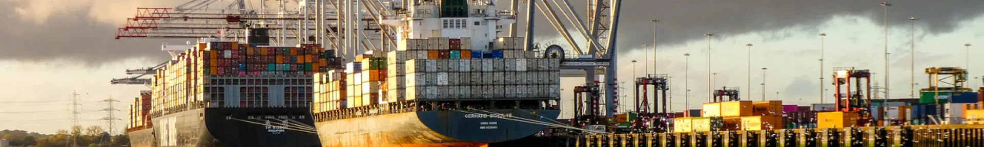 Swan and cargo ship