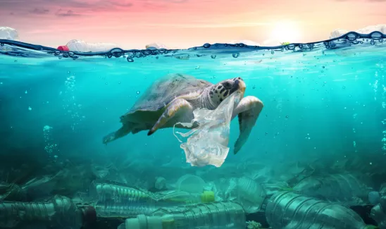 Reducing Marine Plastic Our Commitment